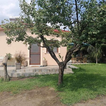 Willa Tiny House By The Sea Nea Skioni Zewnętrze zdjęcie