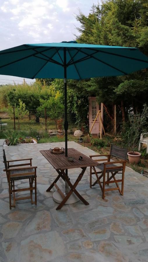 Willa Tiny House By The Sea Nea Skioni Zewnętrze zdjęcie